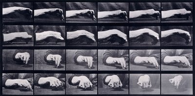 Eine Bewegungsstudie einer Hand, ca. 1872-1885 von Eadweard Muybridge