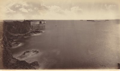 Acajutla von Eadweard Muybridge