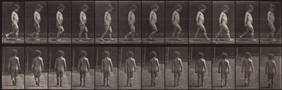 Tierbewegung, Platte 467 von Eadweard Muybridge