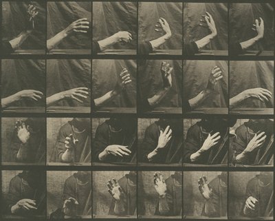 Tierbewegung, Tafel 535 von Eadweard Muybridge