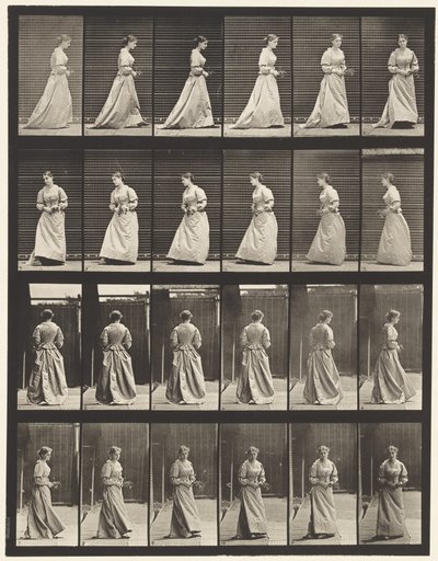 Drehen und Treppensteigen von Eadweard Muybridge