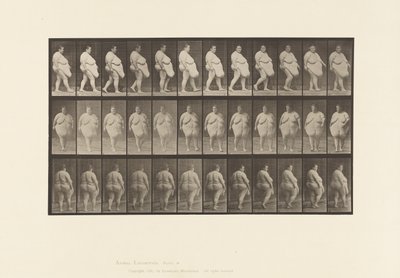 Platte 19. Gehen, Beginn der Drehung von Eadweard Muybridge