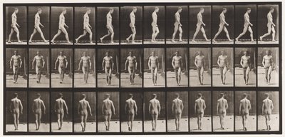 Tafel 1. Gehen von Eadweard Muybridge