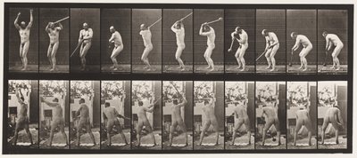 Tafel 308. Den Hammer werfen von Eadweard Muybridge