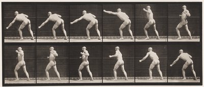 Tafel 343. Einen Schlag ausführen (linke Hand) von Eadweard Muybridge