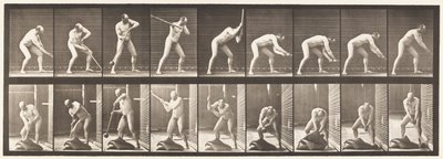 Tafel 396. Mit einem Hammer schlagen von Eadweard Muybridge