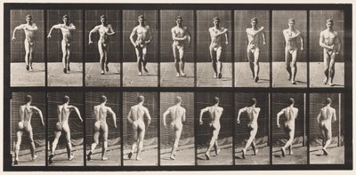 Gehen von Eadweard Muybridge