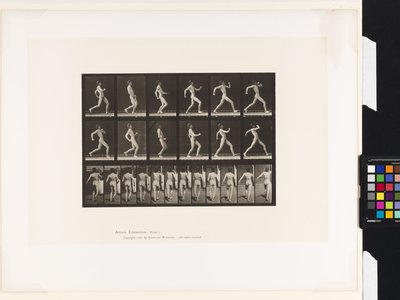 Tafel 7. Gehen von Eadweard Muybridge