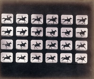 Laufen (Galoppieren) von Eadweard J. Muybridge von Eadweard Muybridge
