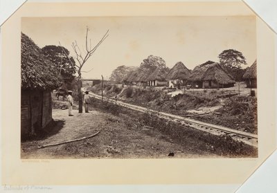 Vororte von Panama von Eadweard Muybridge