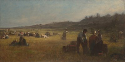 Cranberry-Pflücker, ca. 1878-79 von Eastman Johnson