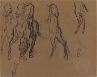 Studie von Pferden von Edgar Degas