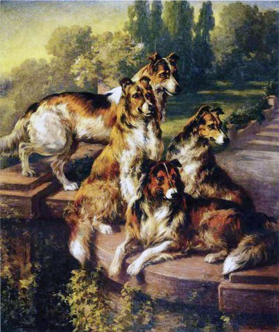 Collies von Edmund Henry Osthaus