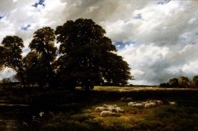 Landschaft mit Schafen von Edmund Morison Wimperis