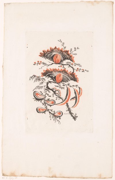 Fächerförmige Blumen von Edouard Gautier Dagoty