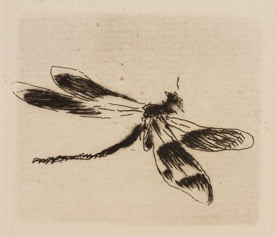 Libelle, Tafel 1 aus Le Fleuve von Édouard Manet