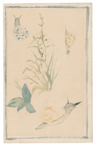 Skizzen von Schnecken, blühende Pflanze von Édouard Manet