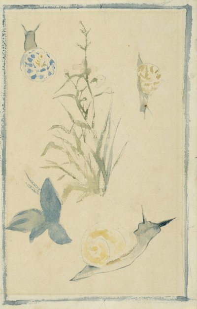 Skizzen von Schnecken, blühende Pflanze von Édouard Manet