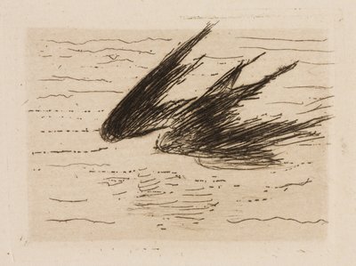 Schwalben, Platte 8 aus Le Fleuve von Édouard Manet