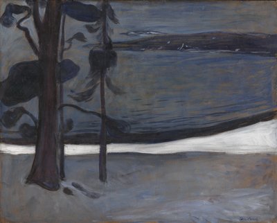 Winter in Nordstrand von Edvard Munch