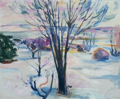 Winterlandschaft von Jeløya von Edvard Munch