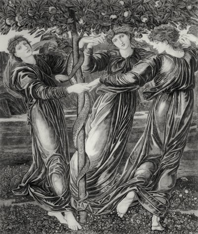 Der Garten der Hesperiden von Edward Coley (after) Burne Jones