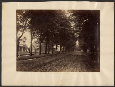 [Baumgesäumte Straße] von Edward H. Hart