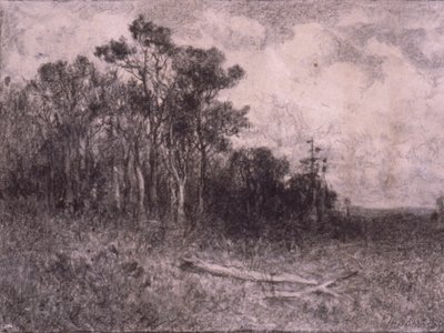 Landschaft, Waldszene von Edward Mitchell Bannister