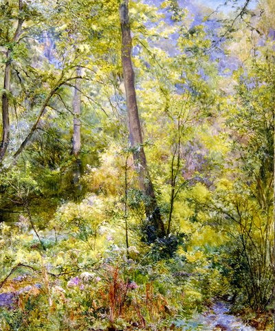 Geflecktes Sonnenlicht, Sheepscombe-Wälder von Edward Steel Harper