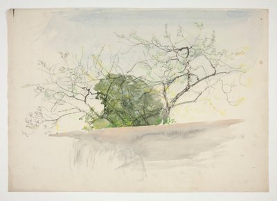 Landschaft mit Bäumen von Edwin Austin Abbey