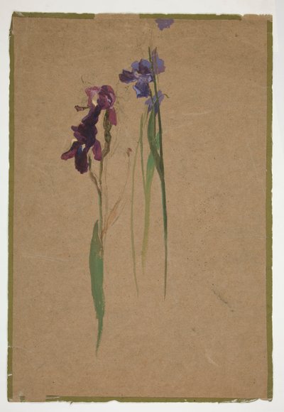 Studie von Schwertlilien von Edwin Austin Abbey