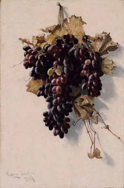 Stillleben mit Trauben von Edwin Deakin