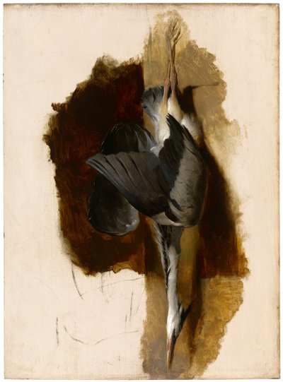Studie eines toten Reihers, um 1832-33 von Edwin Landseer