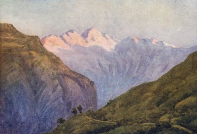 Schweiz von Effie Jardine