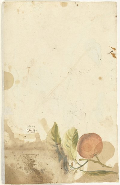 Orange von Elias van Nijmegen