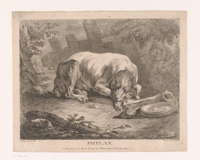 Schlafender Hund von Élie du Mesnil
