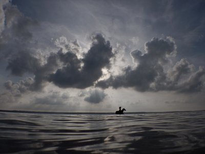 Pferdehorizont von Elinleticia Högabo