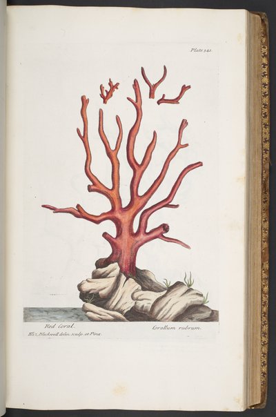 Tafel 341, aus 