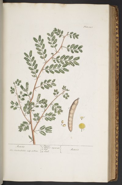Tafel 345, aus 