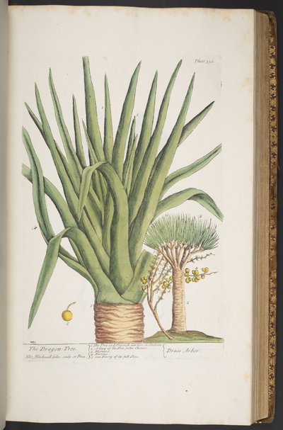 Tafel 358, aus 