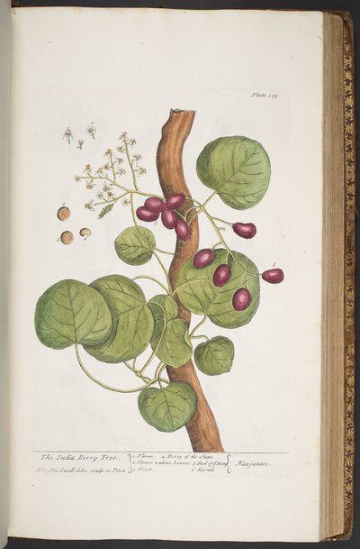 Tafel 389, aus 