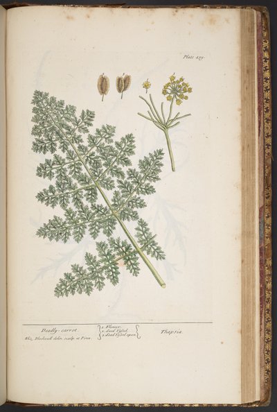 Tafel 459, aus 