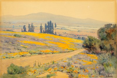 Frühlingslandschaft in Kalifornien von Elmer Wachtel
