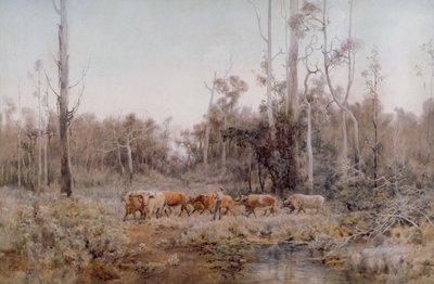 Das Ochsen-Team von Emma Minnie Boyd