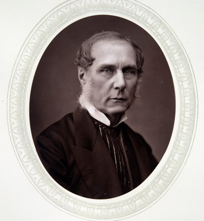 Lord Selborne, Roundell Palmer von English Photographer