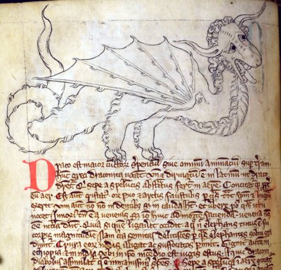 CCA-LitMs/D/10 fol. 24v Drache, aus Bestiarium von English School