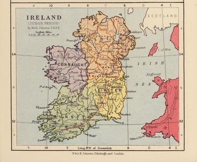 Irland, Tudor-Zeit von English School