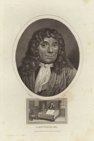 Leeuwenhoek von English School