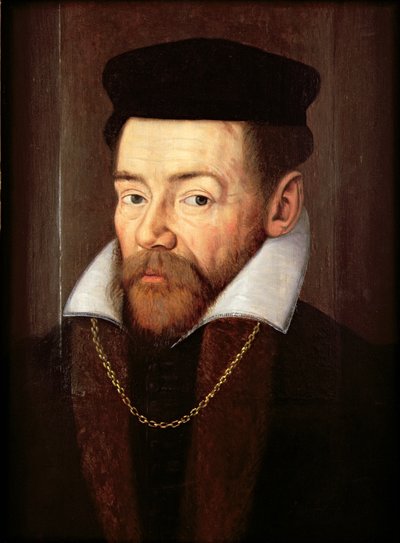 Sir John Huddleston (ca. 1517-57) von English School