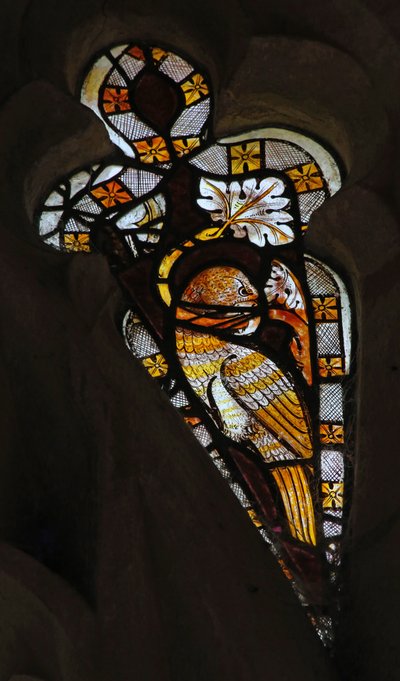 Fenster Ew, ein Vogel von English School